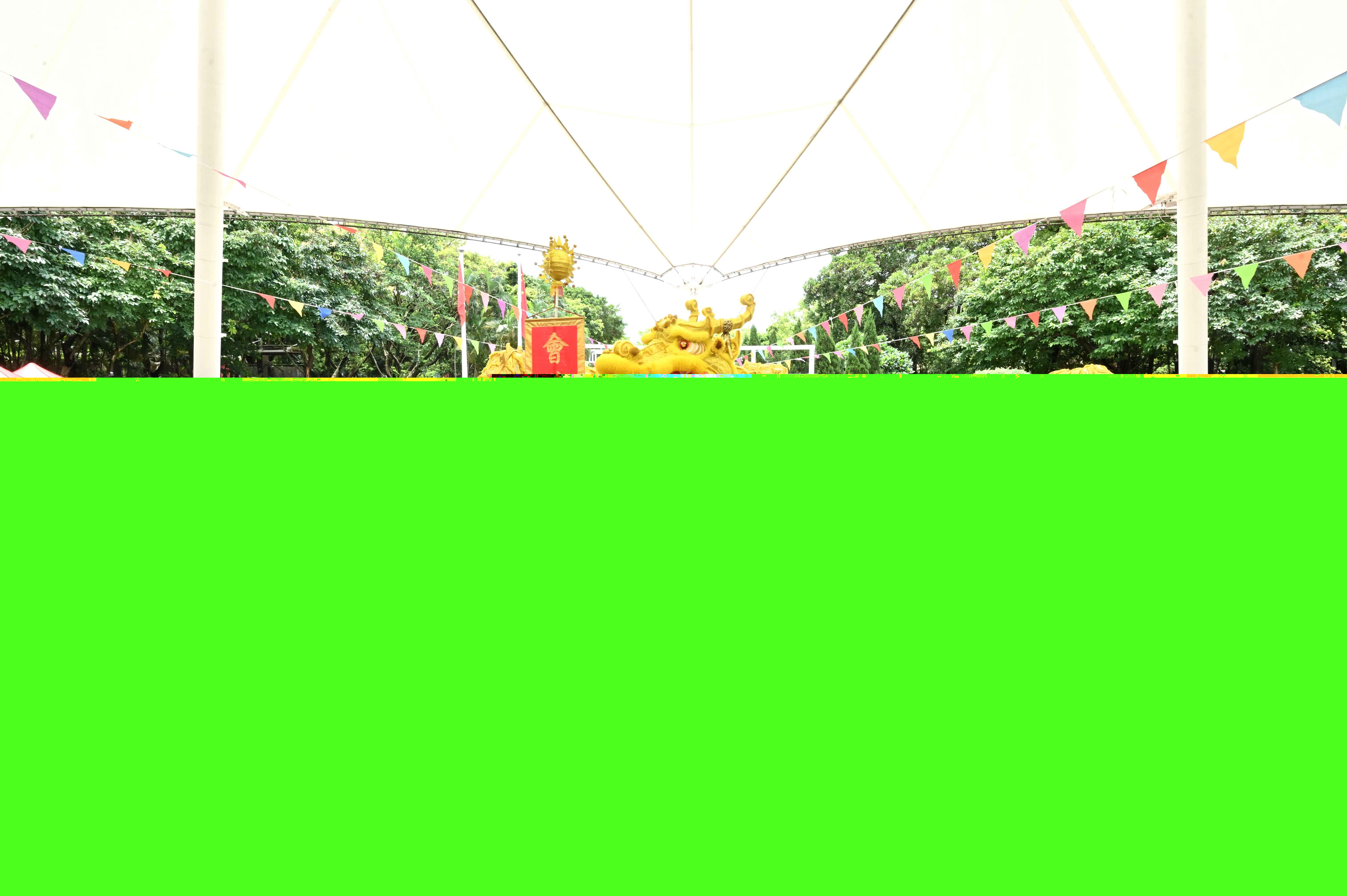 新界社總辦音樂會慶回歸  