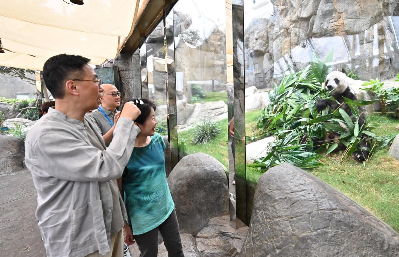 消息：楊潤(rùn)雄將率團(tuán)赴川商討大熊貓來(lái)港細(xì)節(jié)