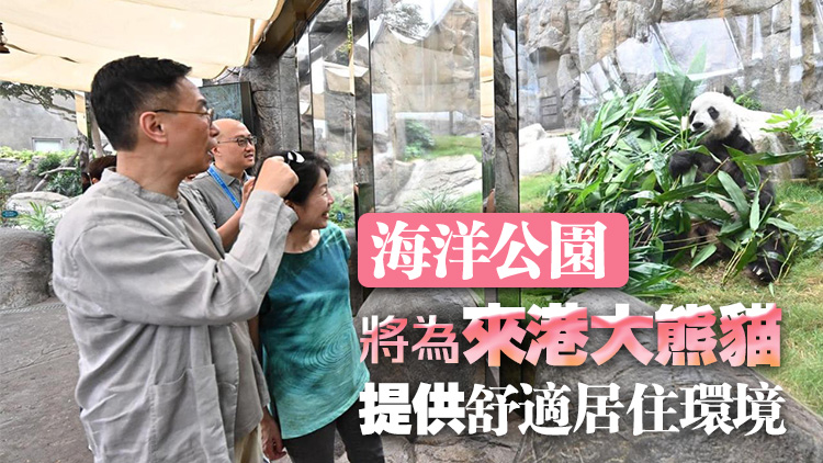 消息：楊潤雄將率團(tuán)赴川商討大熊貓來港細(xì)節(jié)