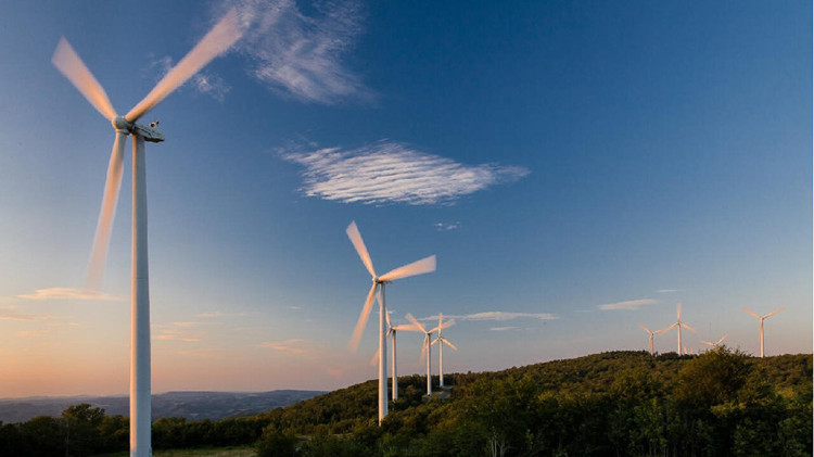 畢馬威中國副主席：中國新能源企業(yè)出?，F(xiàn)三大「轉向」