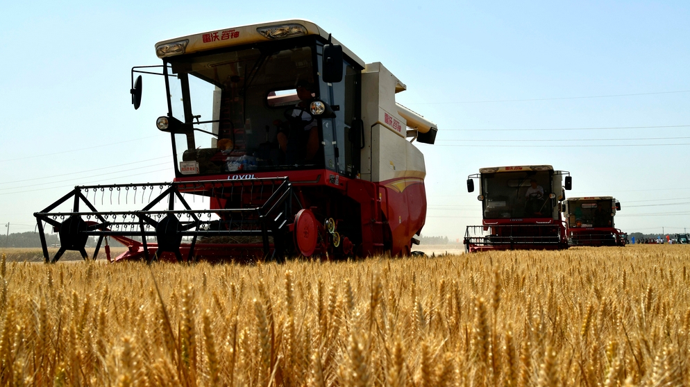 年中經(jīng)濟觀察丨極端天氣頻發(fā)會否影響中國糧食安全？