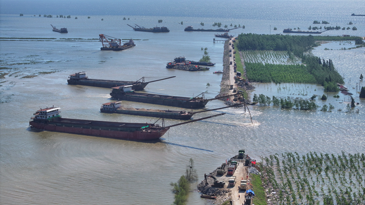 有片｜華容團(tuán)洲垸決口封堵剩餘87.5米 有望9日12時前完成封堵