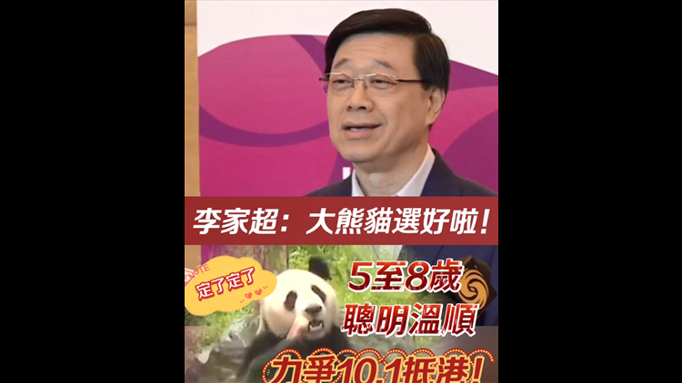 有片｜李家超：大熊貓選好啦！5至8歲 聰明溫順 力爭10.1抵港！