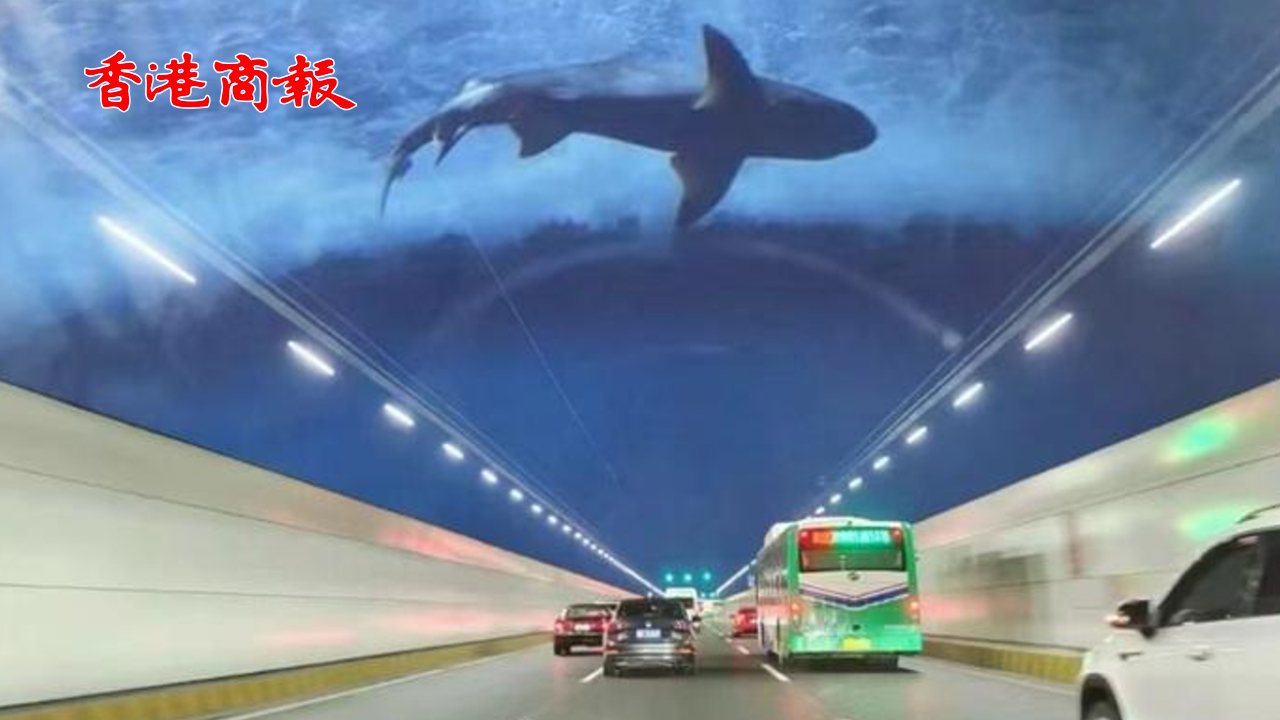 有片 | 深中通道海底隧道看不到投光燈？ 官方：已暫時(shí)關(guān)閉