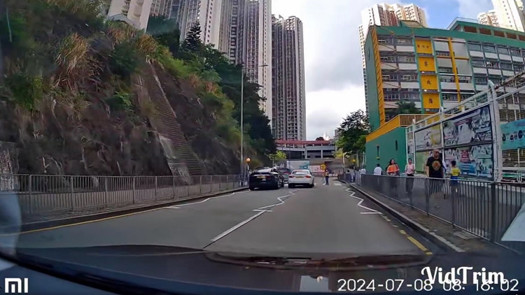 藍(lán)田私家車衝斑馬線   一對男女涉危險駕駛被捕