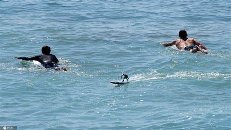 美國(guó)西部遭遇罕見熱浪 至少28人死亡