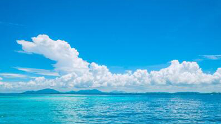 鏽蝕艦「坐灘」、氰化鈉毒魚 菲律賓如何破壞南海生態(tài)環(huán)境