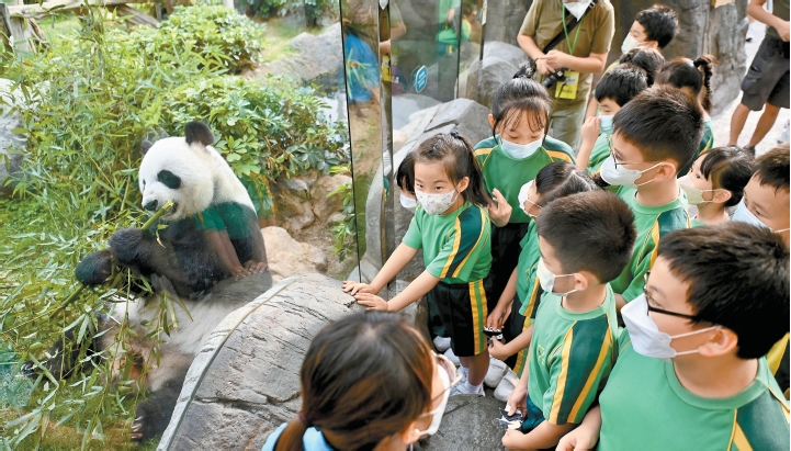 【民意建言】發(fā)展大熊貓經(jīng)濟(jì) 政府樂園同有責(zé)