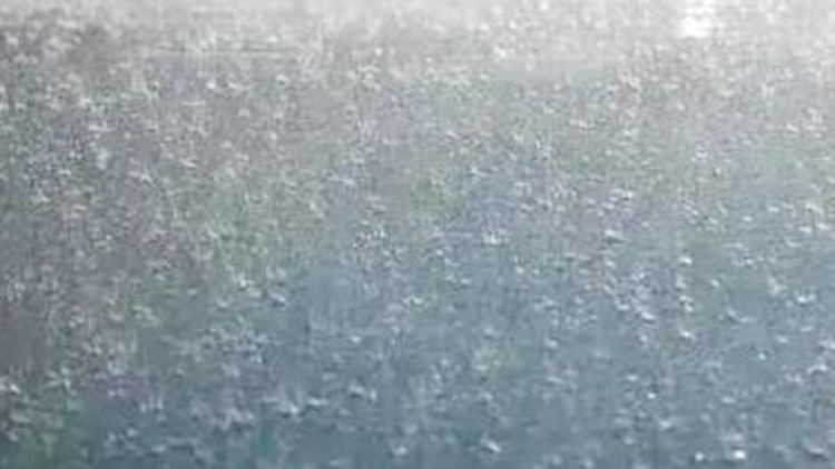 三預警齊發(fā)！廣東部分市縣有暴雨 局地伴有8級左右短時大風