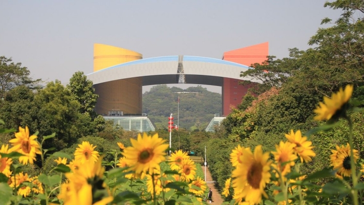 深圳各界熱議黨的二十屆三中全會(huì)公報(bào) 自覺(jué)把改革擺在更加突出位置