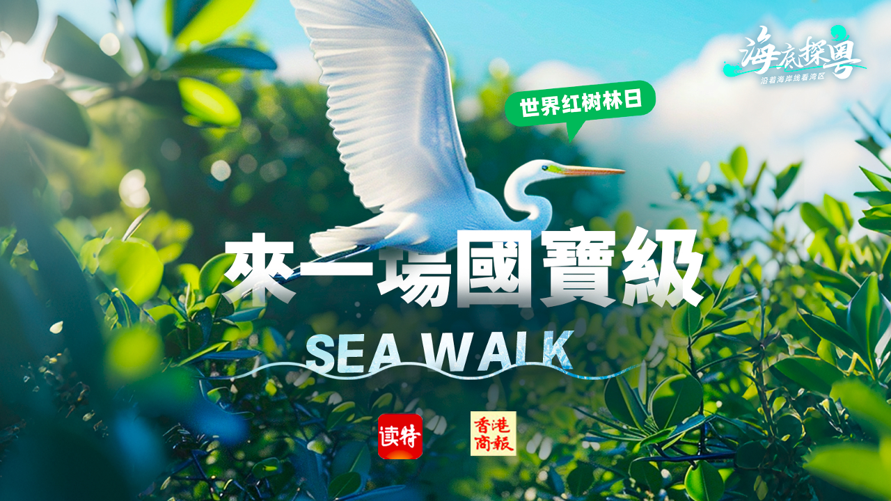 直播預(yù)告丨世界紅樹林日，來一場(chǎng)「國(guó)寶級(jí)」Sea Walk