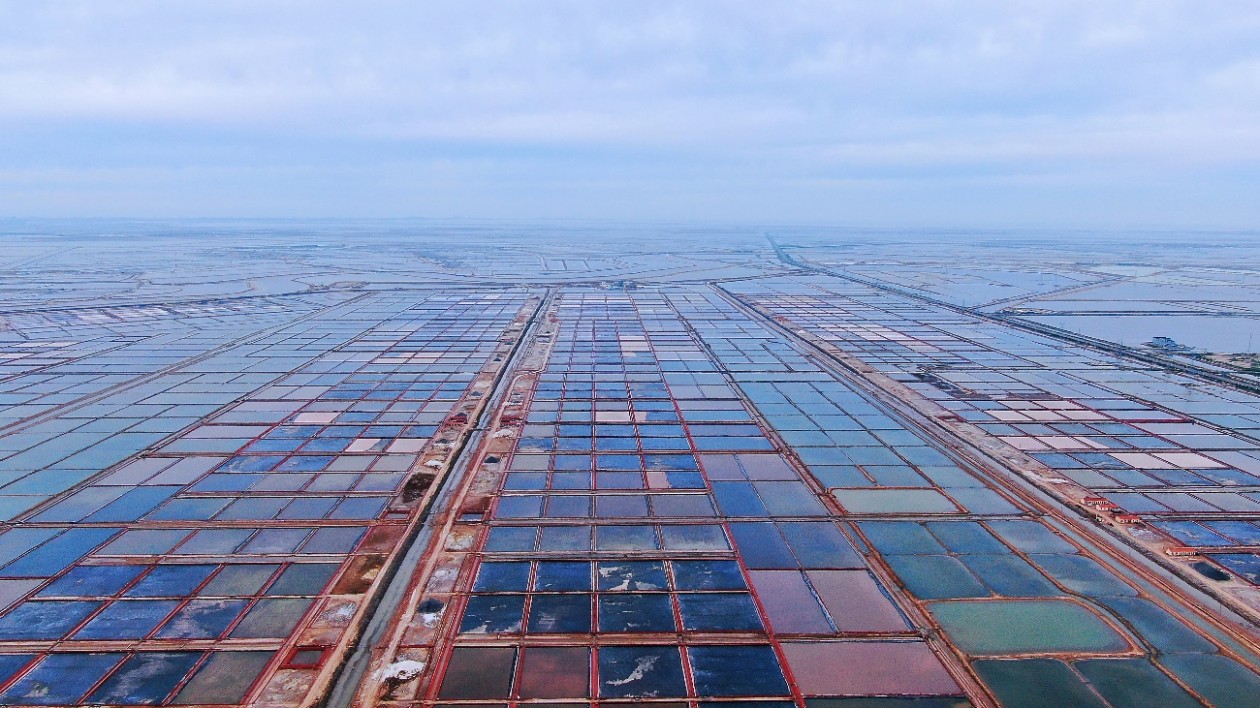 藍(lán)色濱州 逐夢(mèng)未來