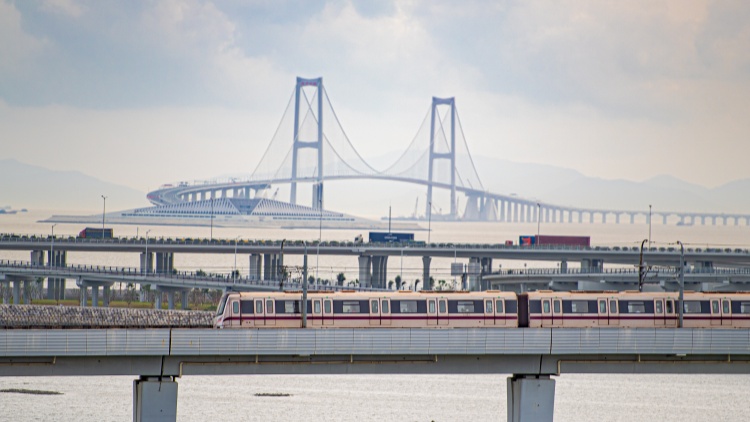 粵港澳大灣區(qū)暑期人員流動加速 遊客大幅增長