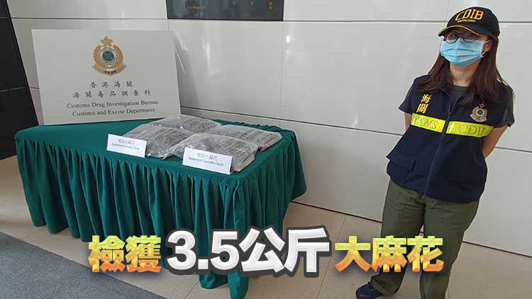 海關(guān)搗破佐敦毒品儲存?zhèn)} 拘1男檢值120萬元大麻花