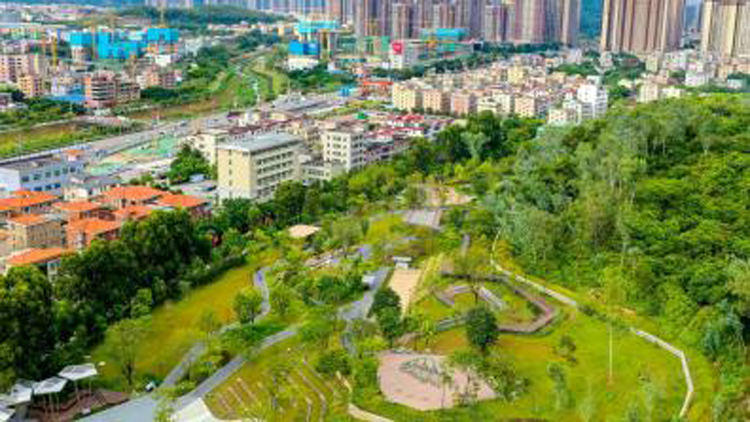 有獎(jiǎng)徵集！深圳兩公園景點(diǎn)請(qǐng)您來命名