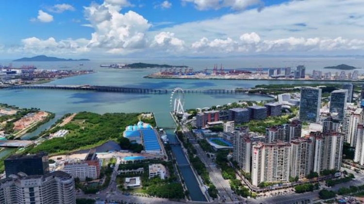 關(guān)鍵詞+數(shù)據(jù)告訴你：好企業(yè)來寶安，一定有地可落 | 新寶安·新質(zhì)感④