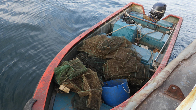 涉於三門仔附近內(nèi)地船上用蛇籠捕魚 2名內(nèi)地人被起訴