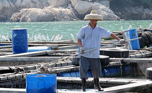 【港事講場(chǎng)】香港漁農(nóng)業(yè)應(yīng)積極「求變」