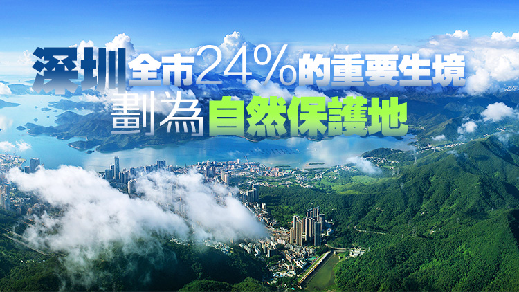 全國生態(tài)日丨深圳市森林面積增加197公頃，森林蓄積量增加16.5萬立方米
