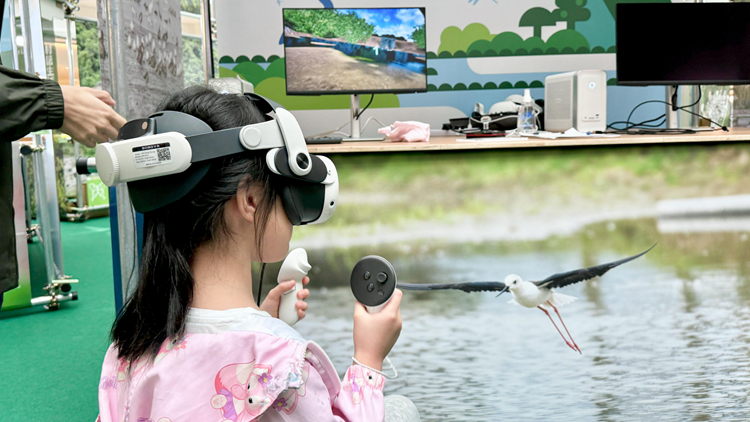 鄉(xiāng)郊辦今起舉辦「生態(tài)『悠』蹤」專(zhuān)題展覽 鼓勵(lì)市民探索本地生物多樣性