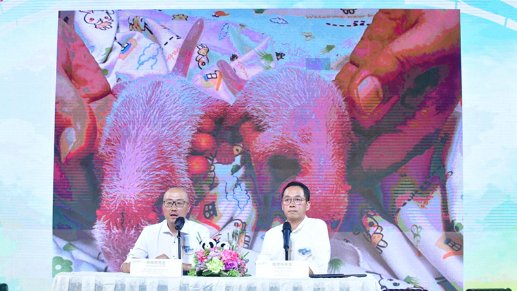 海洋公園：大熊貓BB及中央贈(zèng)港新一對(duì)大熊貓起名將讓全港市民參與