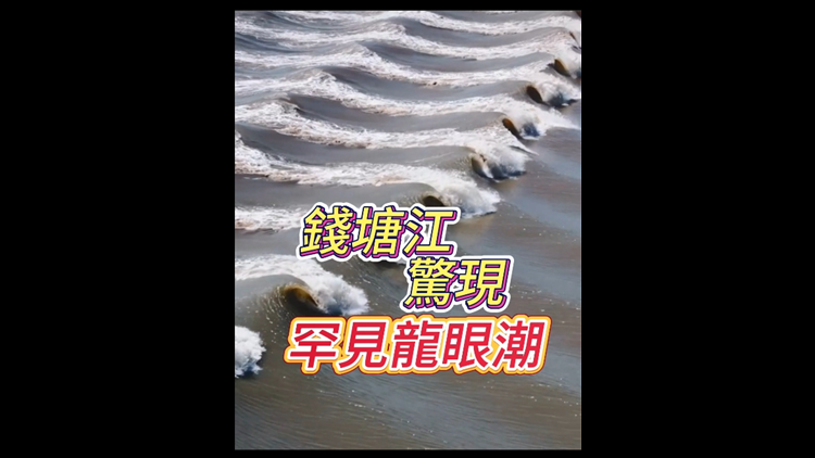 有片丨罕見！錢塘江驚現(xiàn)「龍眼潮」