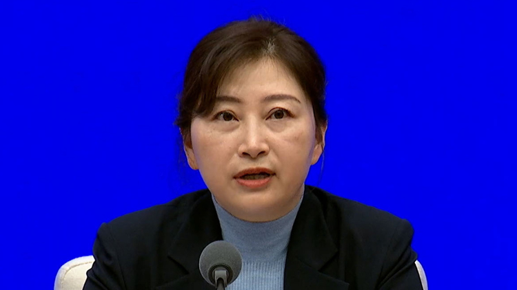 國(guó)家移民管理局：3萬(wàn)名非中國(guó)籍人士申請(qǐng)港澳居民來(lái)往內(nèi)地通行證