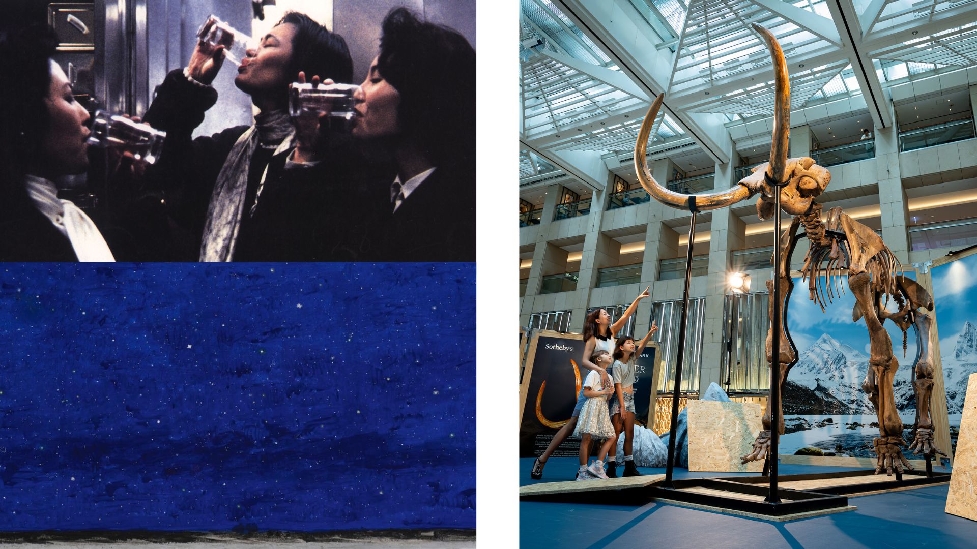 有片 | 齊看史前猛獁象化石——【一周「港」藝】香港文藝活動菜單（19/8-26/8）