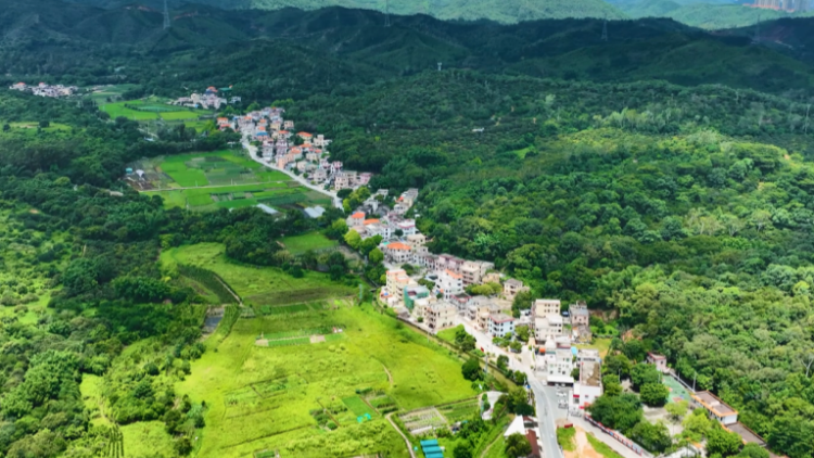 ?客家的大門(mén)是這樣推開(kāi)的