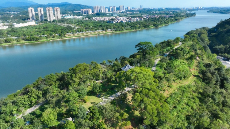 廣東印發(fā)深化集體林權(quán)制度改革實(shí)施方案 到2025年林業(yè)產(chǎn)業(yè)總產(chǎn)值達(dá)1萬億元