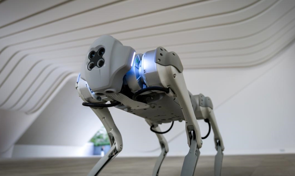 深圳機器人相關企業(yè)5.11萬家 數(shù)量居全國首位，行業(yè)總產(chǎn)值超1700億元