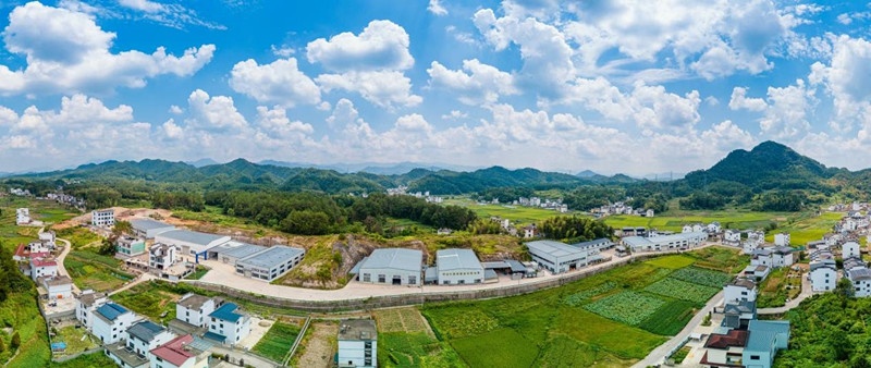 皖歙縣王村鎮(zhèn)：人才鏈支撐產(chǎn)業(yè)鏈  電商經(jīng)濟助力鄉(xiāng)村振興