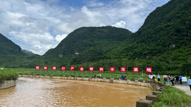 ?桂林銀行：探索城商行服務(wù)鄉(xiāng)村振興的「桂林模式」