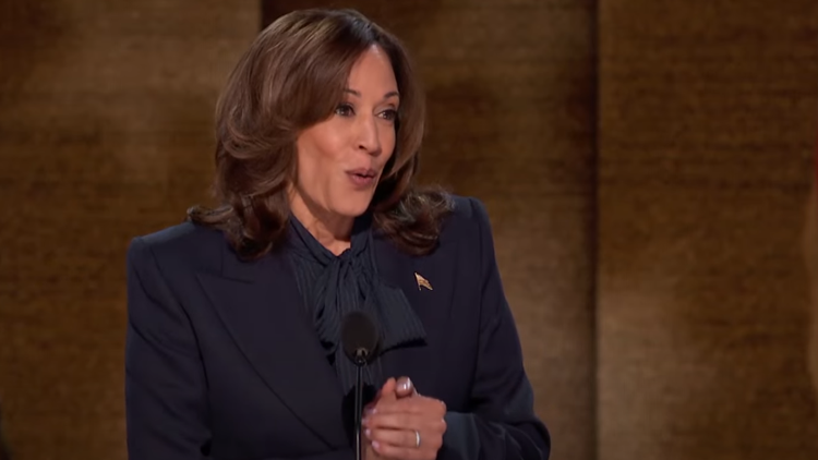 美國(guó)副總統(tǒng)賀錦麗正式接受民主黨總統(tǒng)候選人提名