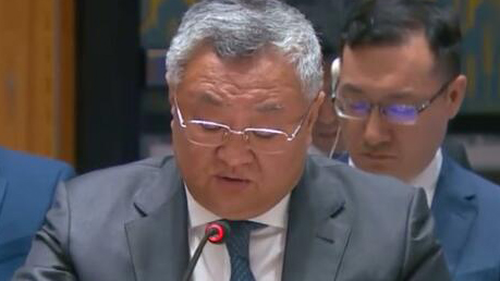 中國代表：?；鹫勁泻驼谓鉀Q才是解決巴以問題的根本出路