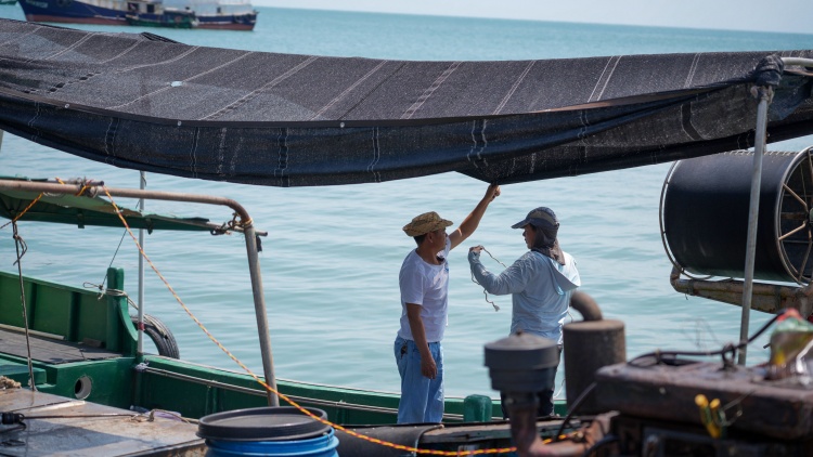 踏浪逐鮮 湛江開漁後的「第一網(wǎng)鮮」來啦！