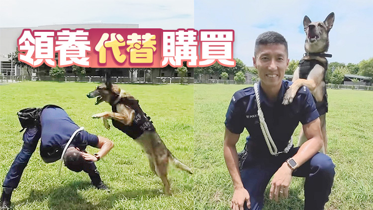 警員領養(yǎng)退役警犬 「國際狗狗日」呼籲勿棄養(yǎng)