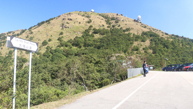 漁護署職員工作時猝逝 楊何蓓茵表示哀悼