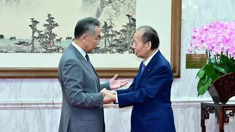 王毅會見日本日中友好議員聯(lián)盟代表團(tuán)