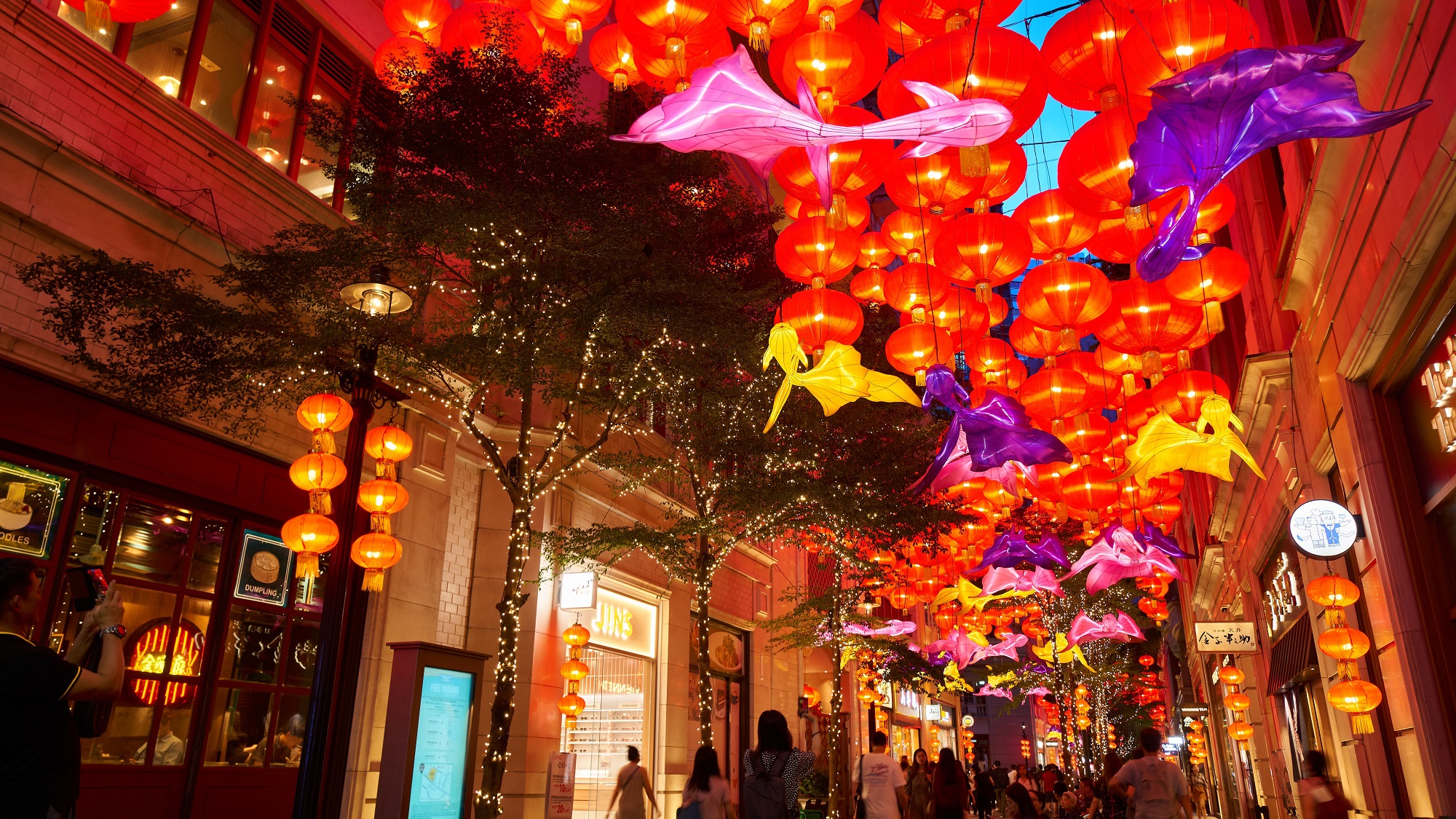 【玩樂】打卡魚群花燈綵燈會(huì) 倍添團(tuán)圓節(jié)日氣氛