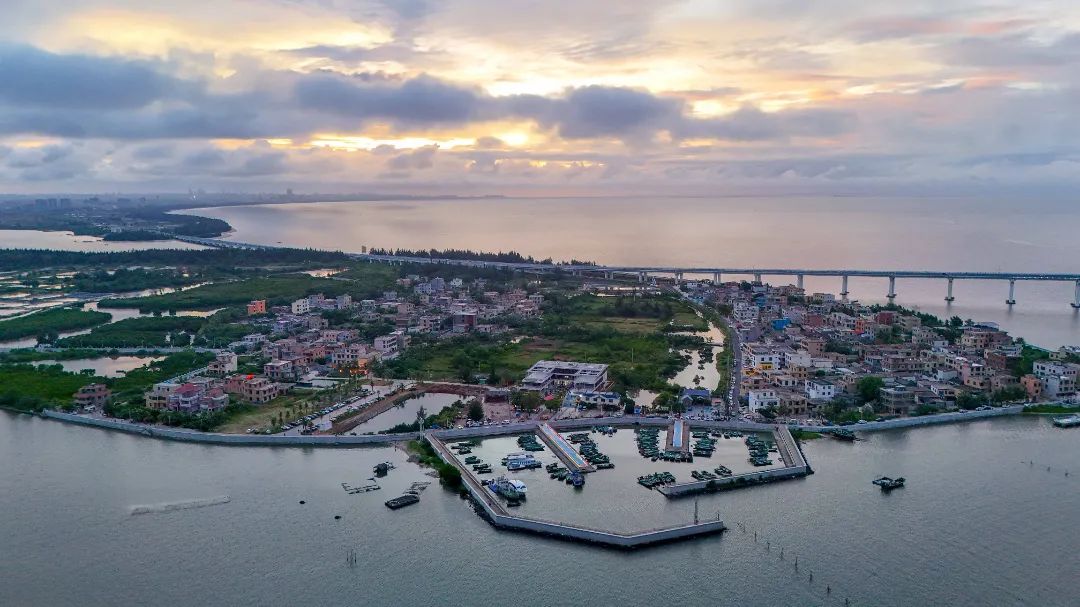 關(guān)注首屆?？诔鞘兴囆g(shù)周丨「趕海+音樂」新體驗(yàn)