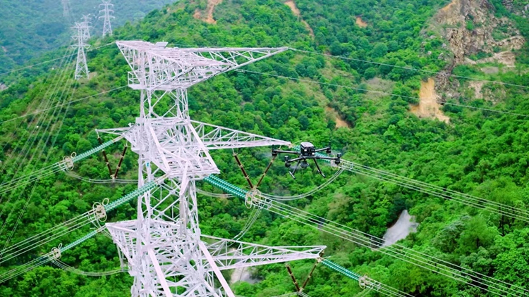 本港踏入颱風季節(jié) 中電：已制定並落實抵禦颱風及應(yīng)變措施