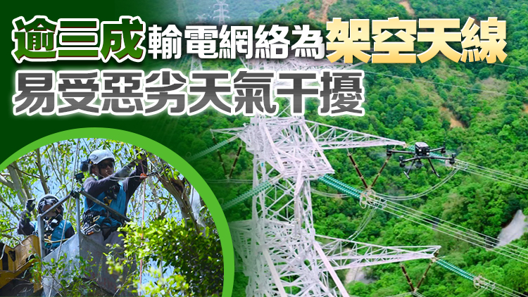 本港踏入颱風(fēng)季節(jié) 中電：已制定並落實抵禦颱風(fēng)及應(yīng)變措施