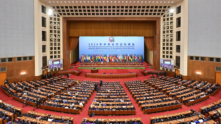 【來(lái)論】中非合作 香港大有可為