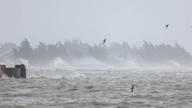 願(yuàn)平安！颱風(fēng)「摩羯」已致3死95傷