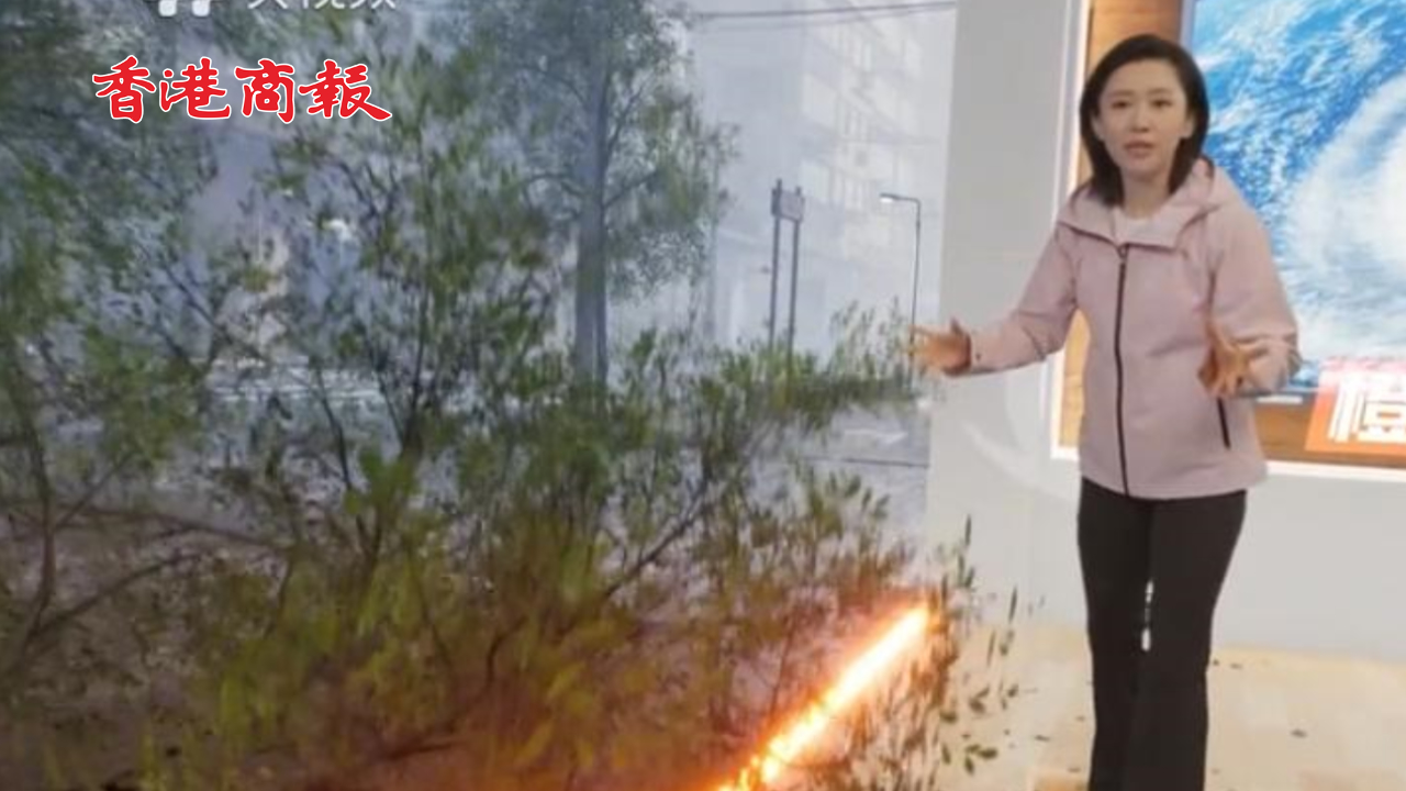 有片丨中國(guó)天氣預(yù)報(bào)太超前火到國(guó)外 網(wǎng)友：像電影一樣