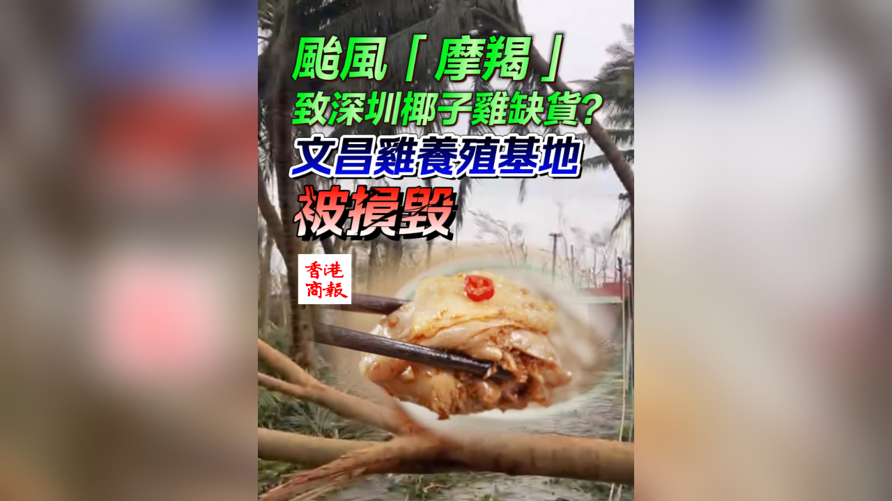 有片｜颱風(fēng)「摩羯」致深圳椰子雞缺貨？文昌雞養(yǎng)殖基地被損毀