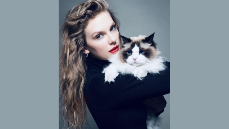 泰勒·斯威夫發(fā)帖宣布將投票給賀錦麗