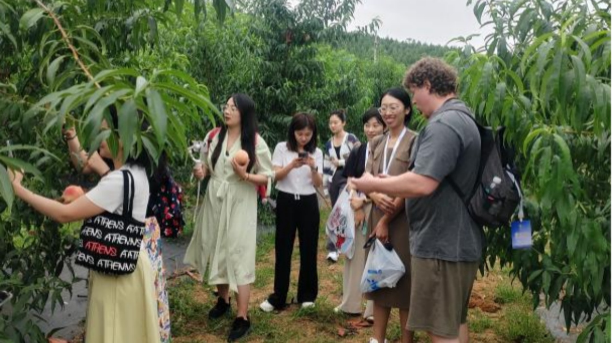 民俗國際範(fàn)兒！中秋將至  外國友人體驗肥城民俗文化