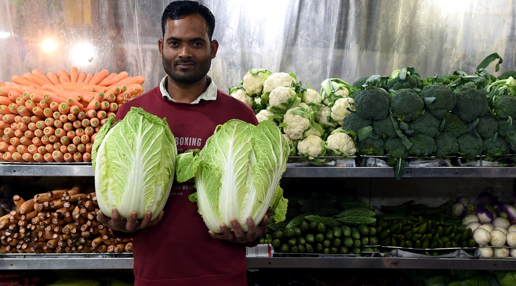 中國支持尼泊爾生產(chǎn)的新鮮蔬菜首次向卡塔爾出口